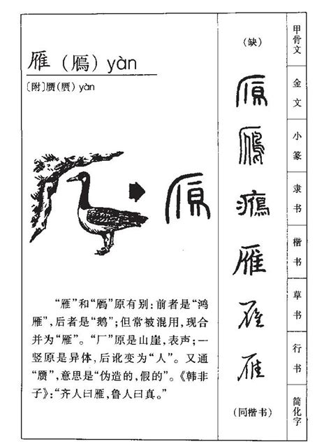 雁 名字|雁字起名：智慧之選